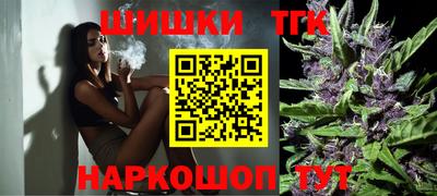 МДПВ Будённовск